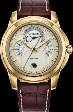 Citizen Eco-Drive Calendrier- Citizen