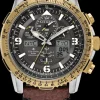 Citizen Eco-Drive Promaster Air- Citizen