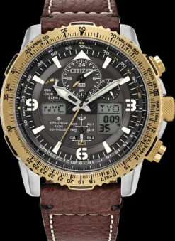 Citizen Eco-Drive Promaster Air- Citizen