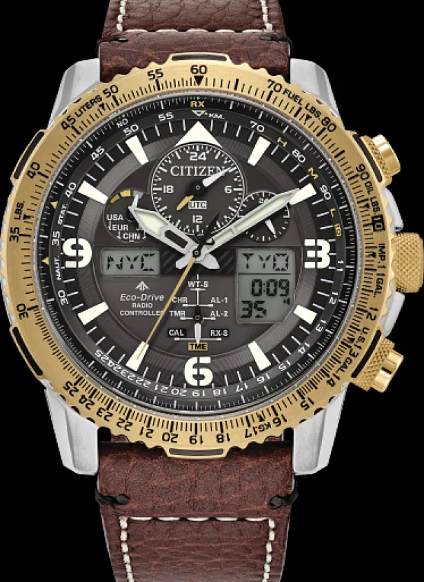 Citizen Eco-Drive Promaster Air- Citizen