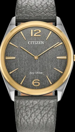 Citizen Eco-Drive Suratto- Citizen