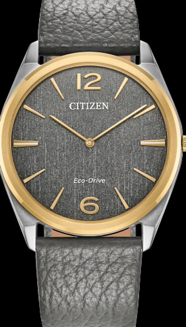 Citizen Eco-Drive Suratto- Citizen