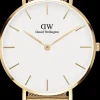 Daniel Wellington Petite Evergold 32MM-Women Daniel Wellington