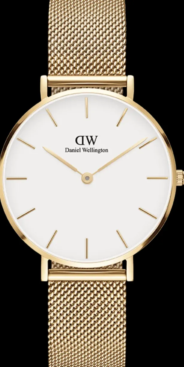 Daniel Wellington Petite Evergold 32MM-Women Daniel Wellington