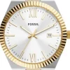 Fossil Scarlette-Women Fossil